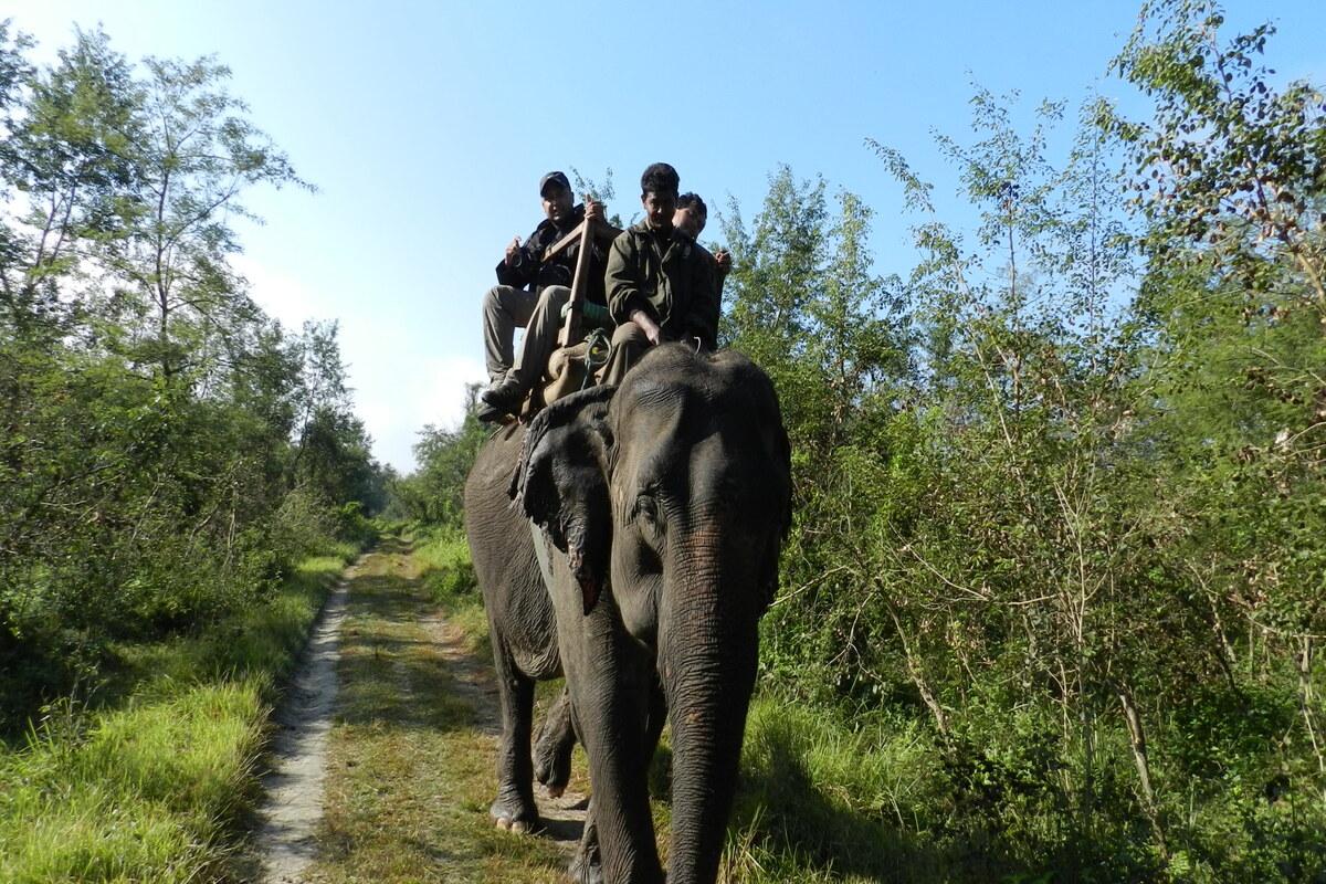 chitwan