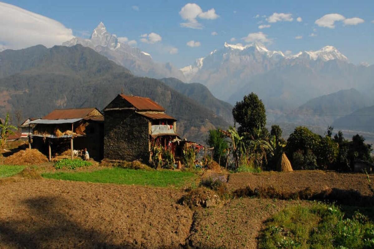 dhampus-village